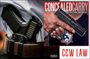 Seven Insurance Choices for Concealed Carry Permit Holders