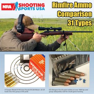 Great .22 LR Rimfire Ammo Comparison Test — 31 Types Tested